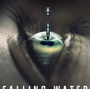 Falling Water