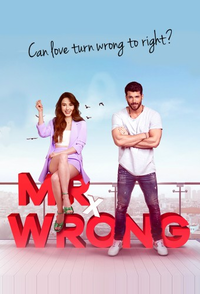 Mr. Wrong – Lezioni d’amore
